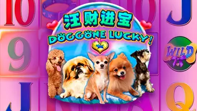doggone lucky